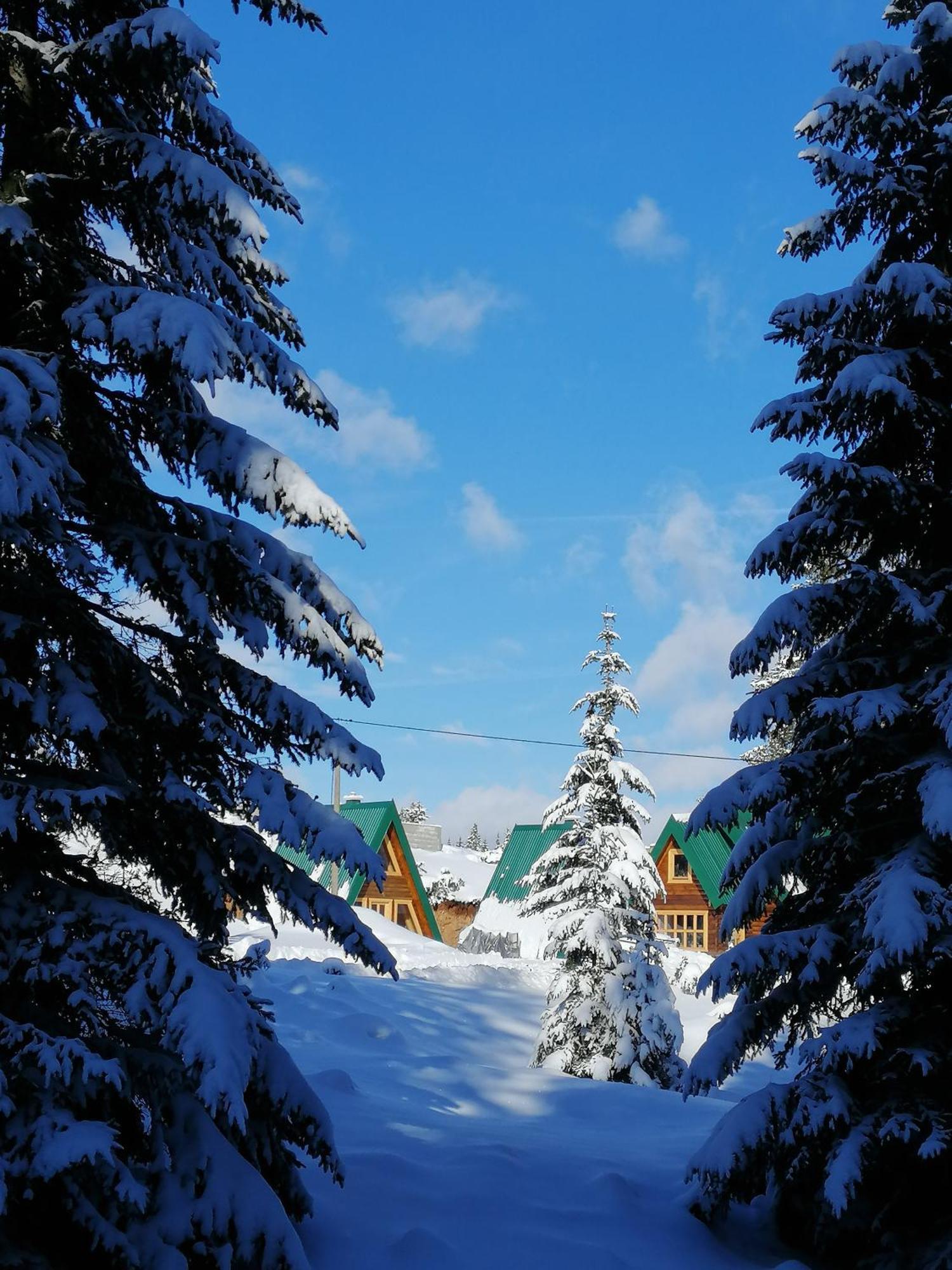 זבליאק M&K Chalets מראה חיצוני תמונה